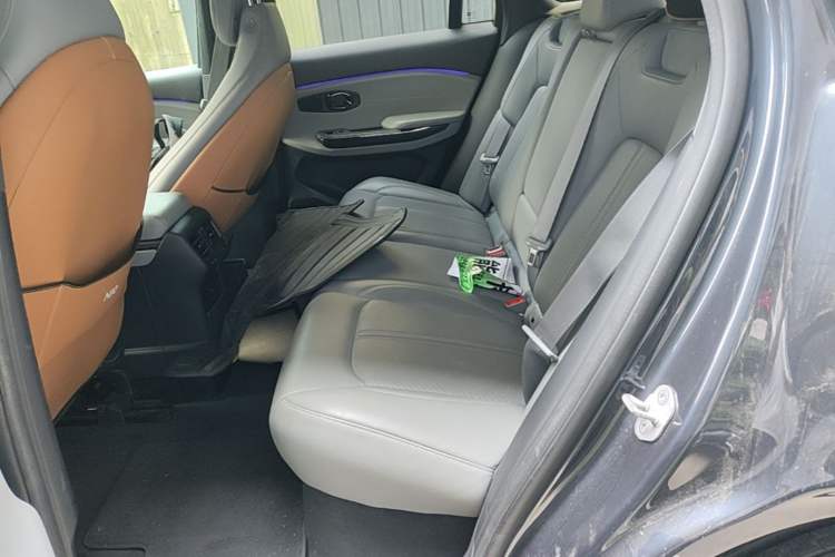 Used Nio EC6 2020 440KM Signature Edition Left Rear Seat
