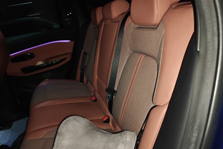 Used Nio EC6 2020 440 km Performance Version Left Rear Seat