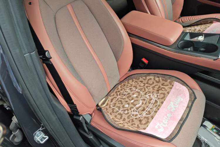 Used Nio EC6 2020 430 km Sport Version Right Front Seat