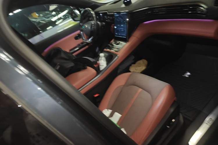 Used Nio EC6 2020 615 km Performance Edition Right Front Seat