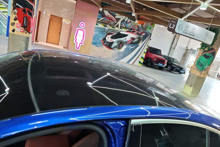 Used Nio EC6 2020 440 km Performance Version Roof