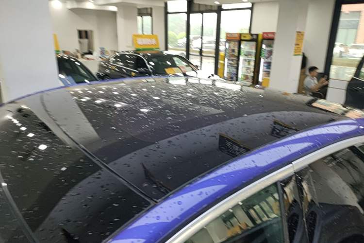 Used Nio EC6 2020 440 km Performance Version Roof