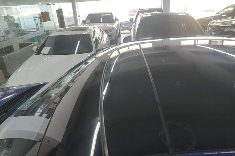 Used Nio EC6 2020 475 km Performance Version Roof