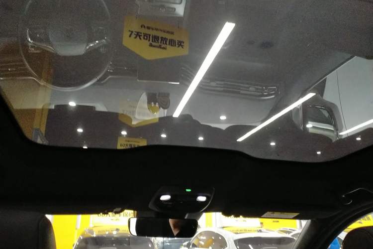 Used Nio EC6 2020 615 km Performance Edition Headliner
