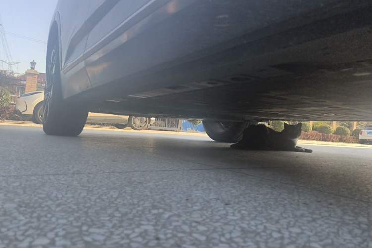 Used Nio EC6 2020 615 km Performance Edition Chassis Front Right