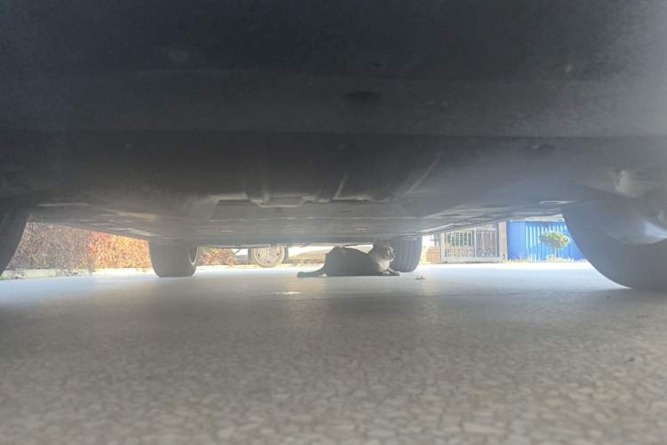 Used Nio EC6 2020 615 km Performance Edition Chassis Front