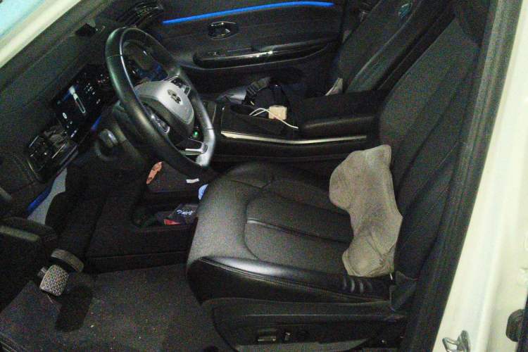Used Nio EC6 2020 430 km Sport Version Left Front Seat