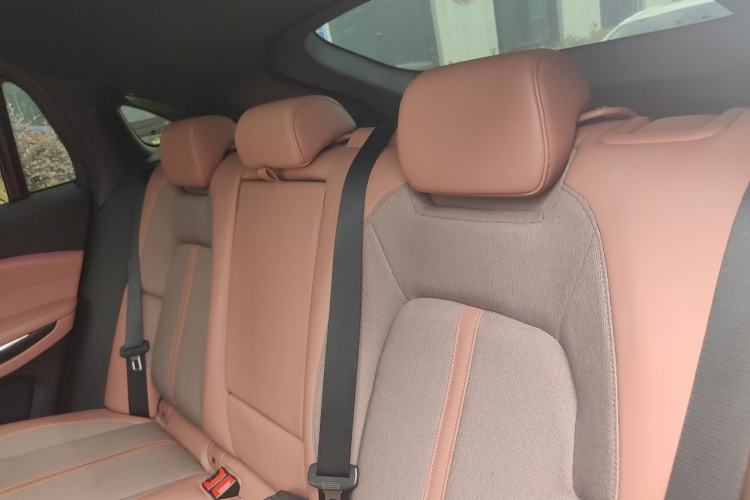 Used Nio EC6 2020 440 km Performance Version Left Rear Seat