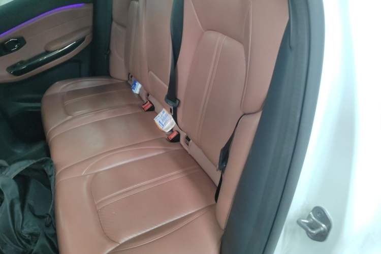 Used Nio EC6 2020 615 km Performance Edition Left Rear Seat