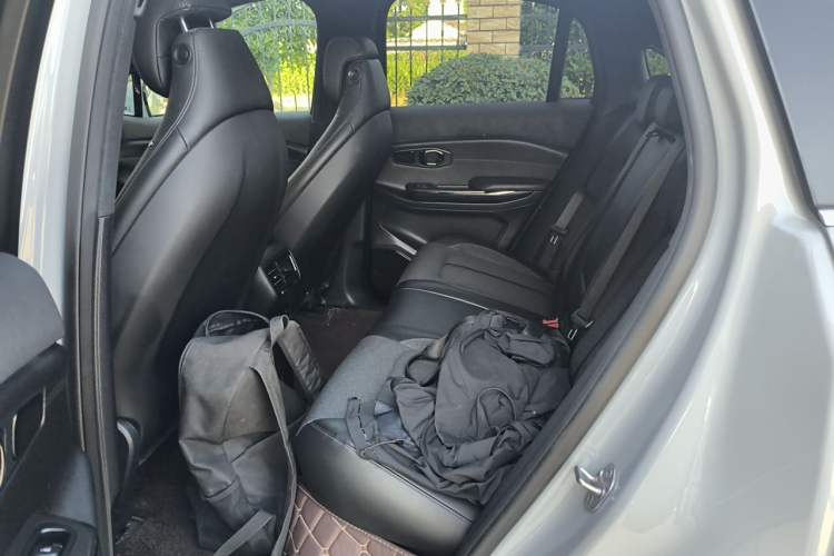 Used Nio EC6 2020 615 km Performance Edition Left Rear Seat