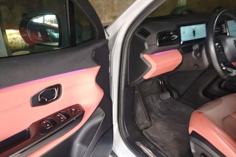 Used Nio EC6 2020 615 km Performance Edition Driver Seat
