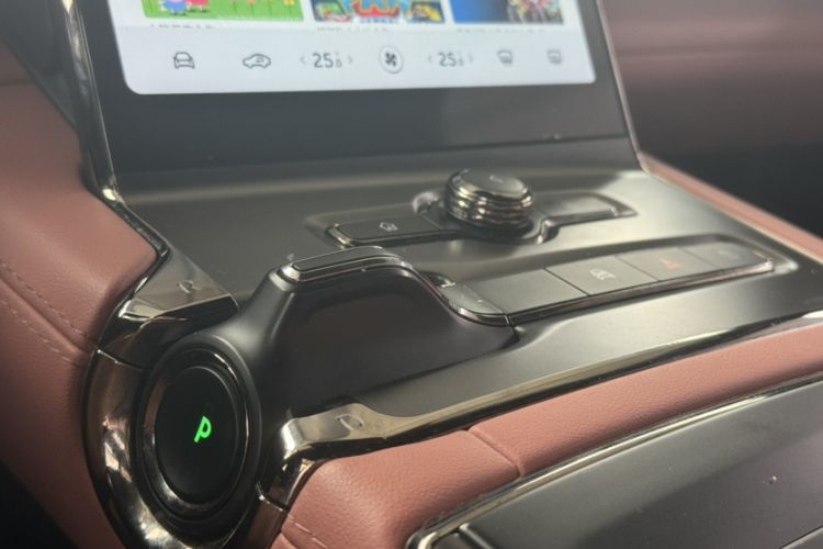 Used Nio EC6 2020 615 km Performance Edition Gear Lever