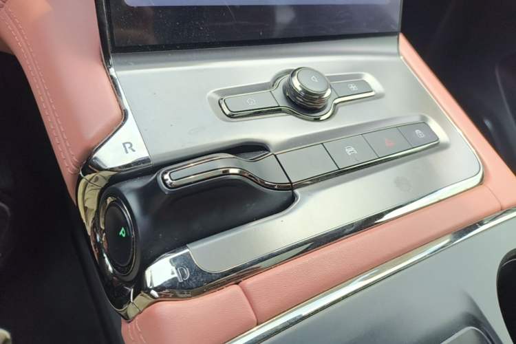 Used Nio EC6 2020 440 km Performance Version Gear Lever