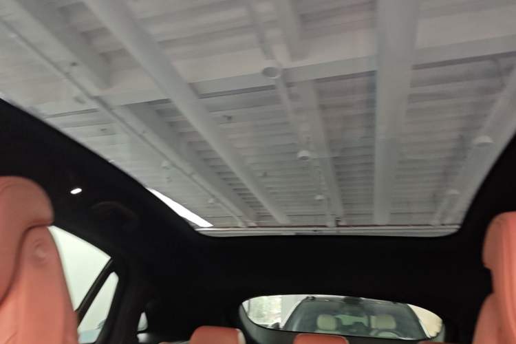 Used Nio EC6 2020 615 km Performance Edition Headliner