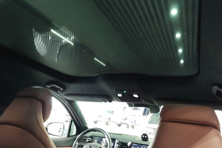 Used Nio EC6 2020 615 km Performance Edition Headliner