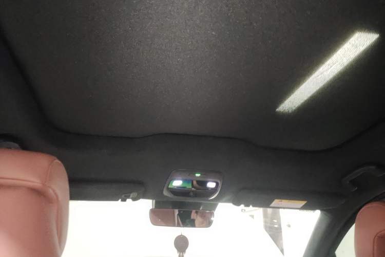 Used Nio EC6 2020 615 km Performance Edition Headliner