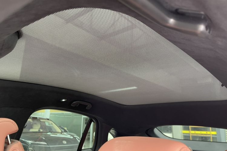 Used Nio EC6 2020 605 km Sport Edition Headliner