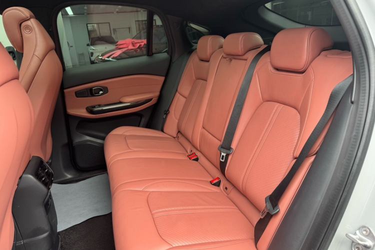 Used Nio EC6 2020 615 km Performance Edition Interior 10