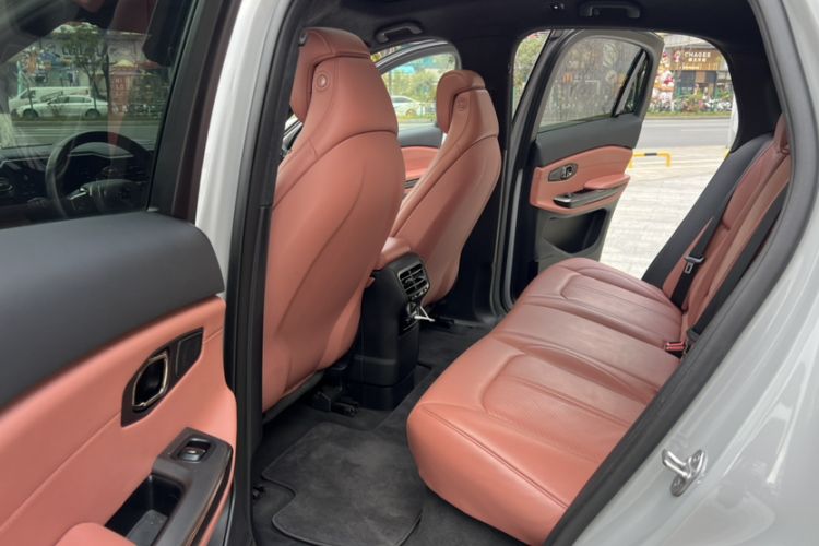Used Nio EC6 2020 430 km Sport Version Interior 6