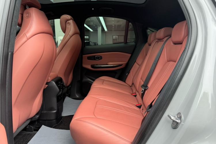 Used Nio EC6 2020 615 km Performance Edition Interior 7