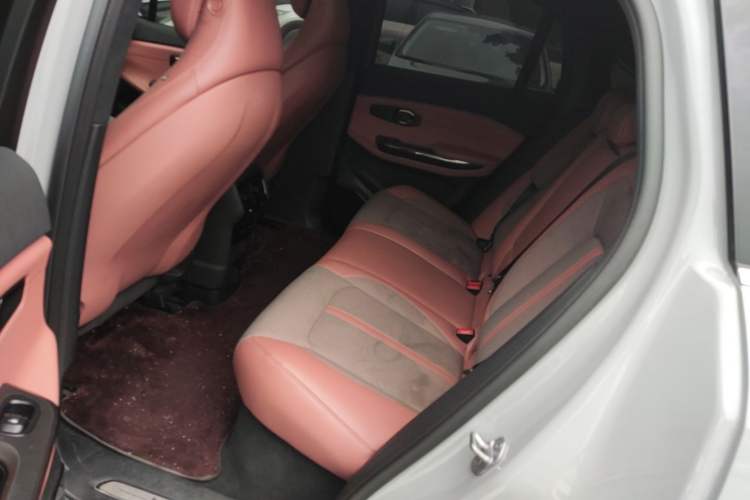 Used Nio EC6 2020 615 km Performance Edition Left Rear Seat