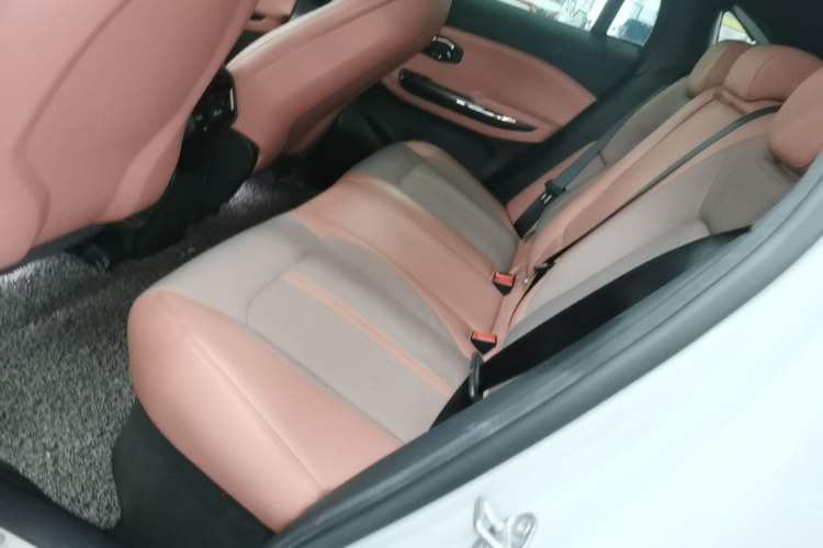 Used Nio EC6 2020 475 km Performance Version Left Rear Seat