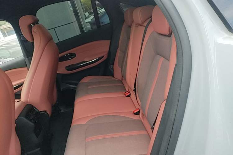 Used Nio EC6 2020 430 km Sport Version Left Rear Seat