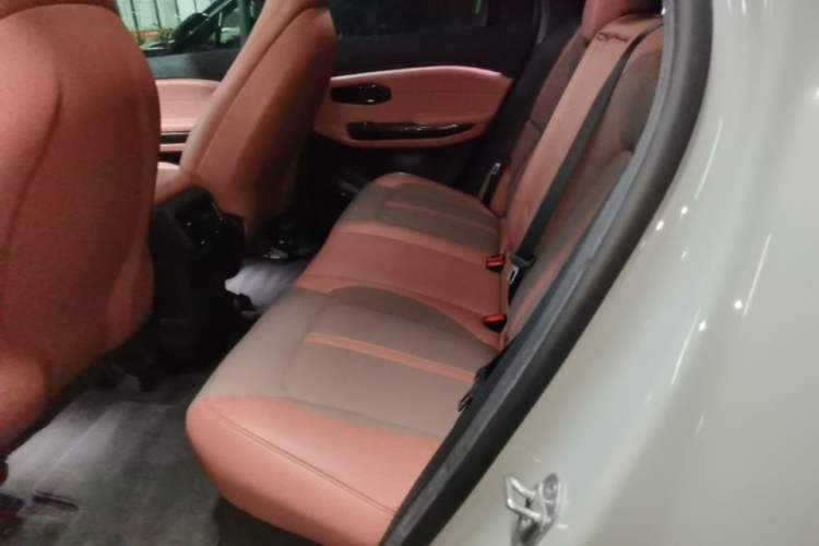 Used Nio EC6 2020 605 km Sport Edition Left Rear Seat