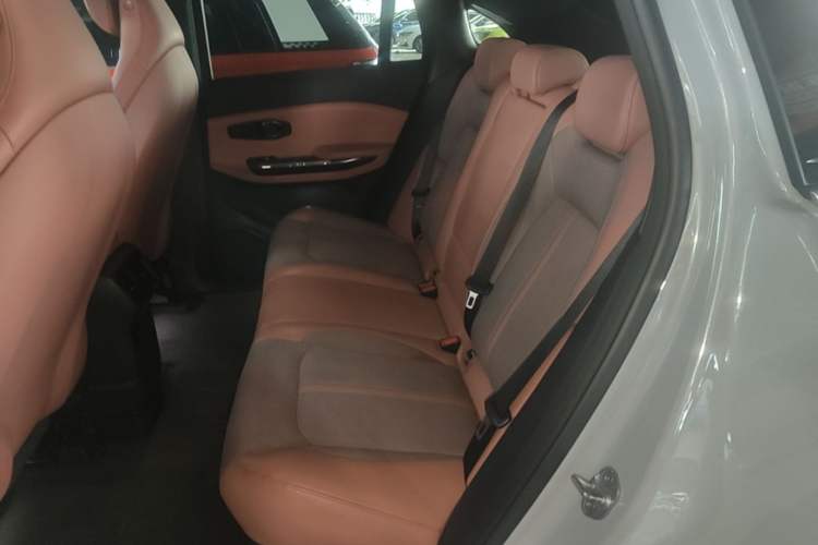 Used Nio EC6 2020 430 km Sport Version Left Rear Seat