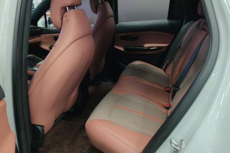 Used Nio EC6 2020 440 km Performance Version Left Rear Seat