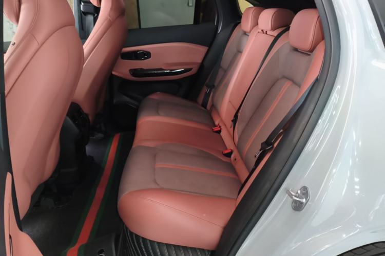 Used Nio EC6 2020 440 km Performance Version Left Rear Seat