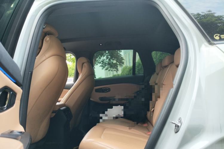 Used Nio EC6 2020 615 km Performance Edition Left Rear Seat