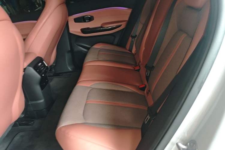 Used Nio EC6 2020 615 km Performance Edition Left Rear Seat