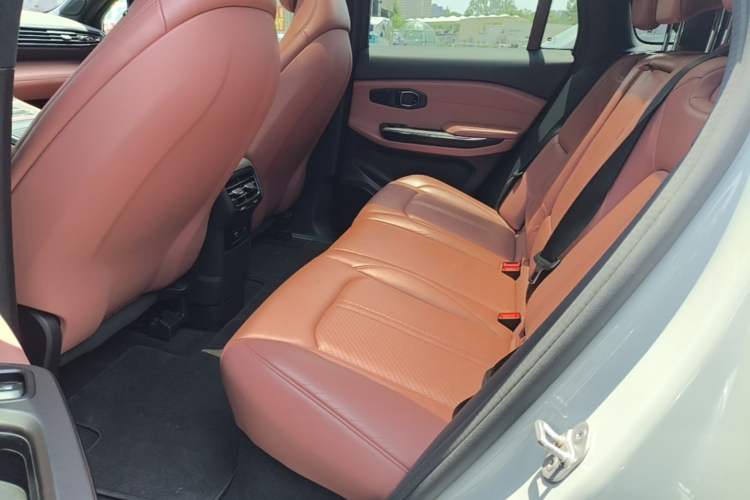 Used Nio EC6 2020 440 km Performance Version Left Rear Seat