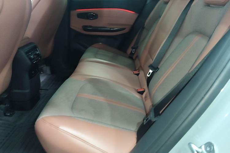 Used Nio EC6 2020 430 km Sport Version Left Rear Seat