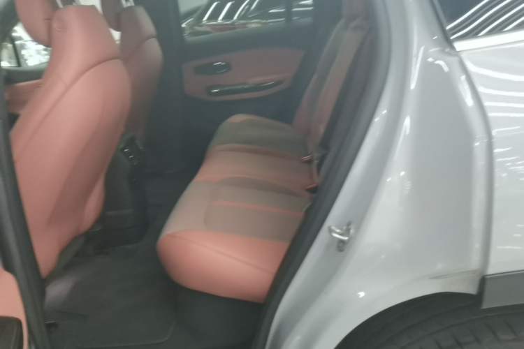 Used Nio EC6 2020 430 km Sport Version Left Rear Seat