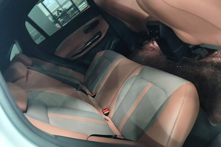 Used Nio EC6 2020 615 km Performance Edition Left Rear Seat