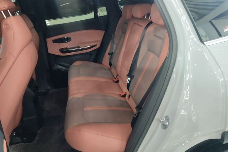 Used Nio EC6 2020 605 km Sport Edition Left Rear Seat