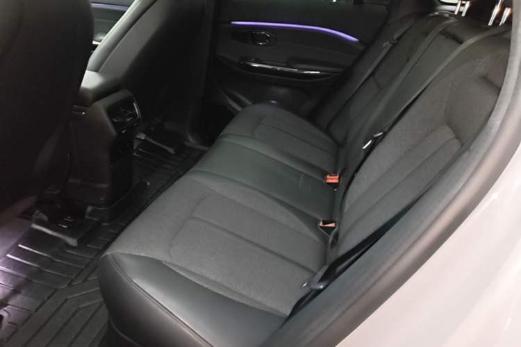 Used Nio EC6 2020 430 km Sport Version Left Rear Seat