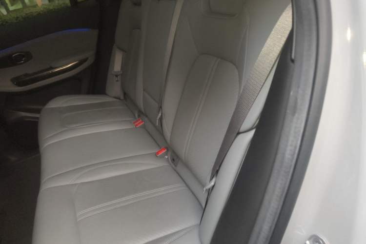 Used Nio EC6 2020 440 km Performance Version Left Rear Seat