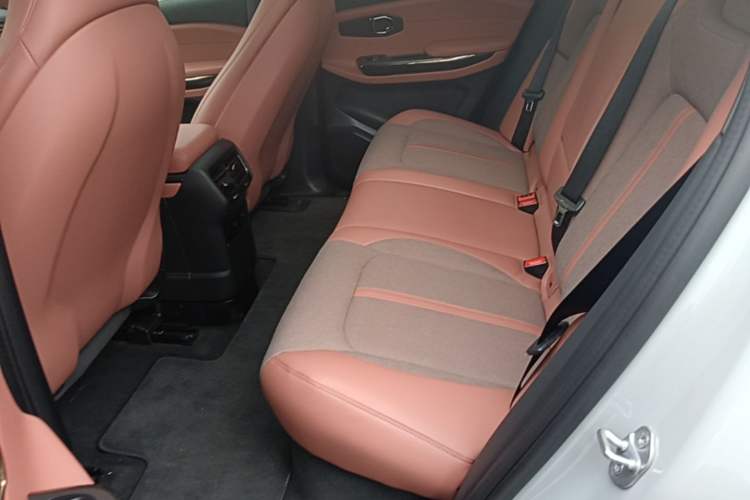 Used Nio EC6 2020 430 km Sport Version Left Rear Seat