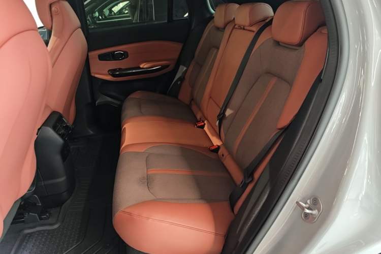 Used Nio EC6 2020 430 km Sport Version Left Rear Seat