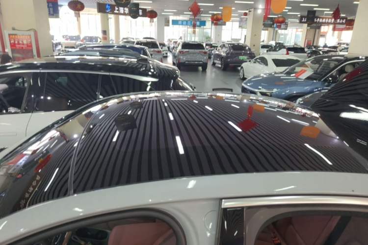 Used Nio EC6 2020 440 km Performance Version Roof