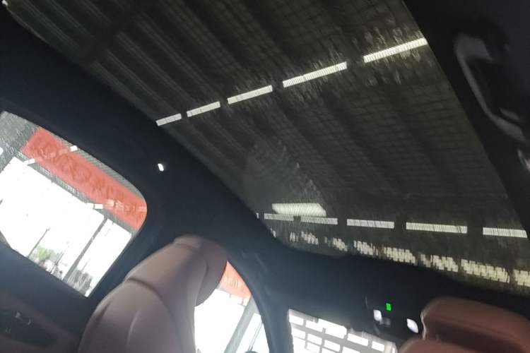 Used Nio EC6 2020 615 km Performance Edition Headliner