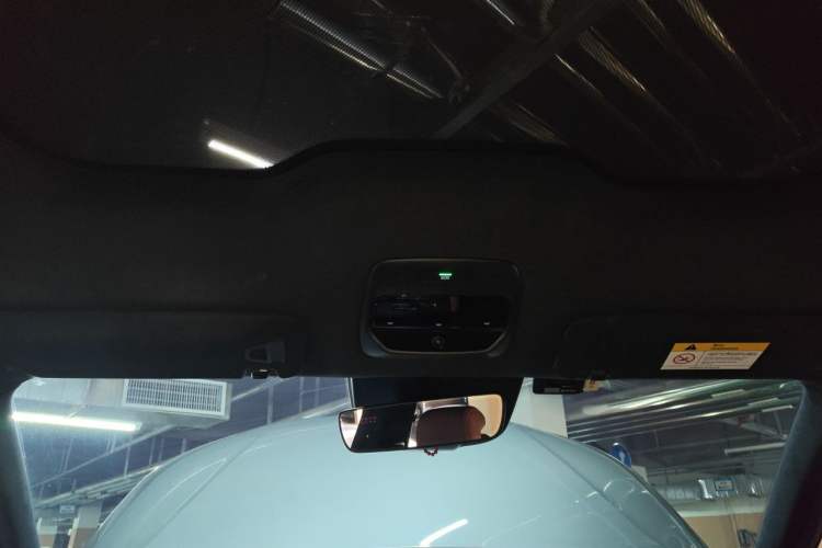 Used Nio EC6 2020 615 km Performance Edition Headliner