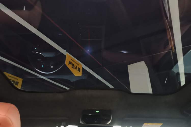 Used Nio EC6 2020 615 km Performance Edition Headliner
