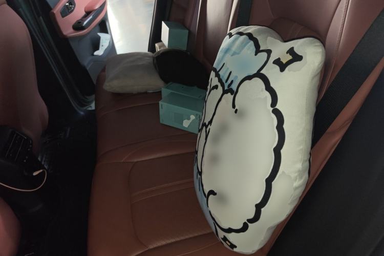 Used Nio EC6 2020 615 km Performance Edition Left Rear Seat