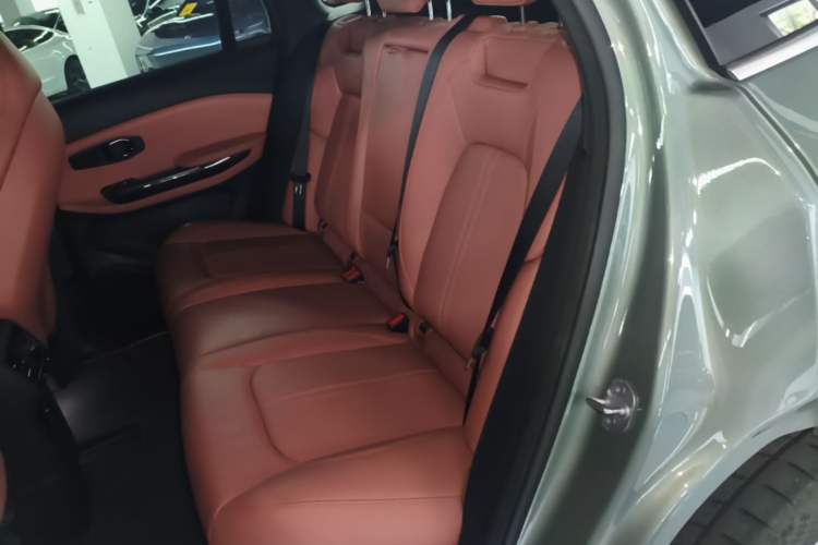 Used Nio EC6 2020 615 km Performance Edition Left Rear Seat