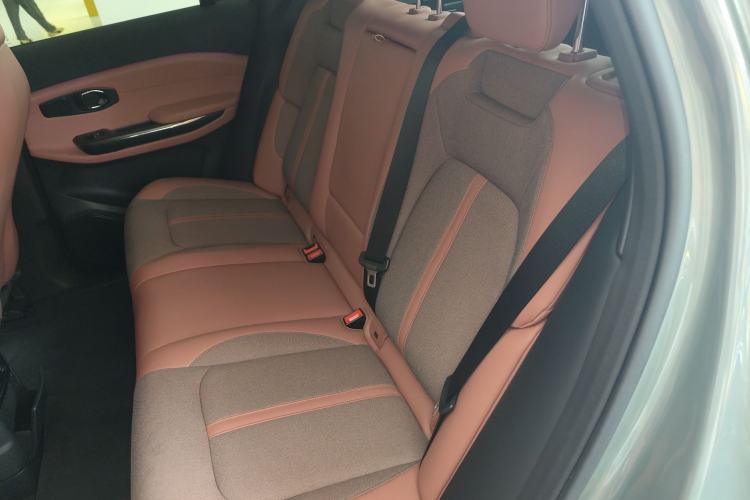 Used Nio EC6 2020 615 km Performance Edition Left Rear Seat
