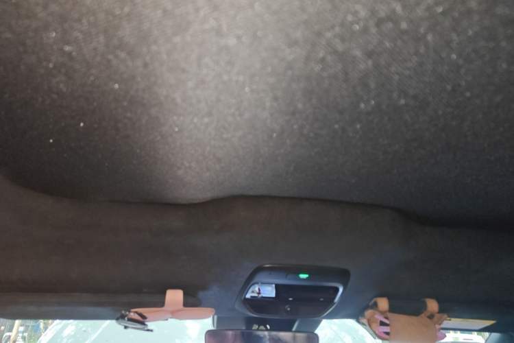 Used Nio EC6 2020 605 km Sport Edition Headliner